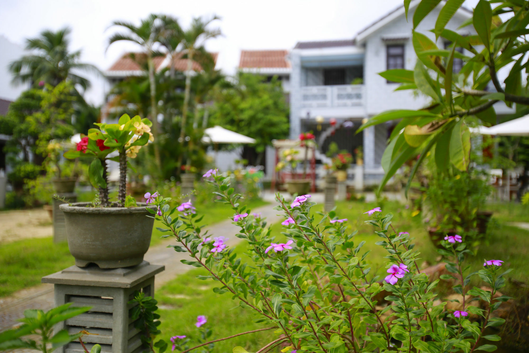Mr Tho Garden Villas Hoi An Esterno foto